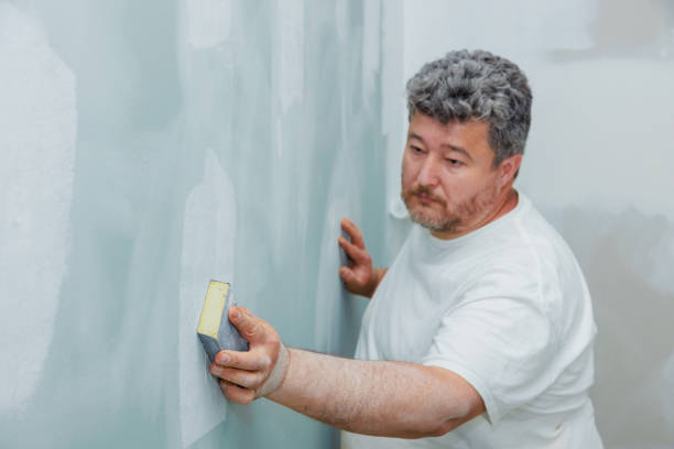 Best Ceiling Drywall Installation  in Hertford, NC